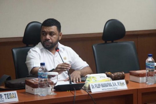 BNPT Ingin Tetapkan OPM Sebagai Organisasi Teroris, Senator Papua Keberatan