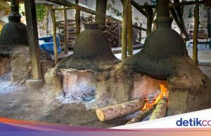 Ketua DPRD Minta Perlakuan Khusus soal Investasi Miras di Bali